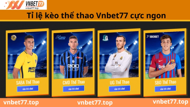 thể thao vnbet77